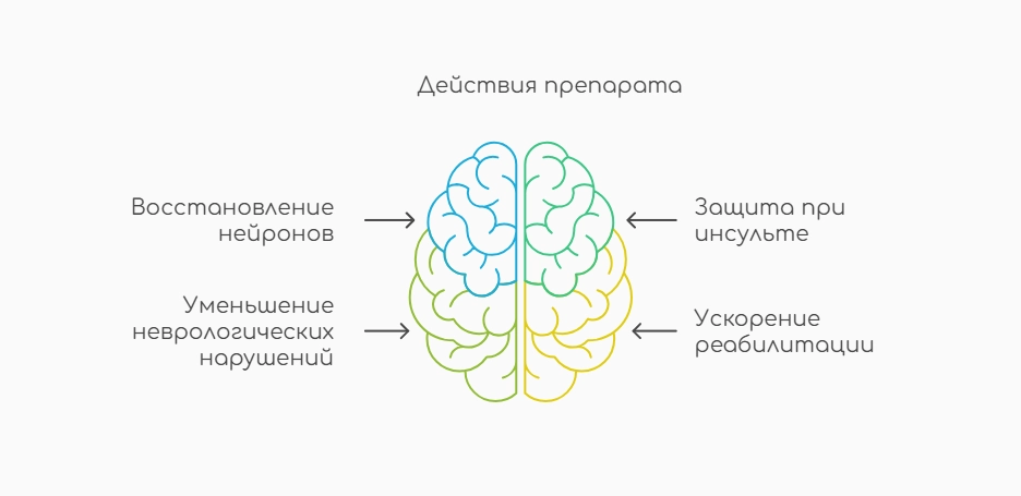 Действие препарата (инфографика)